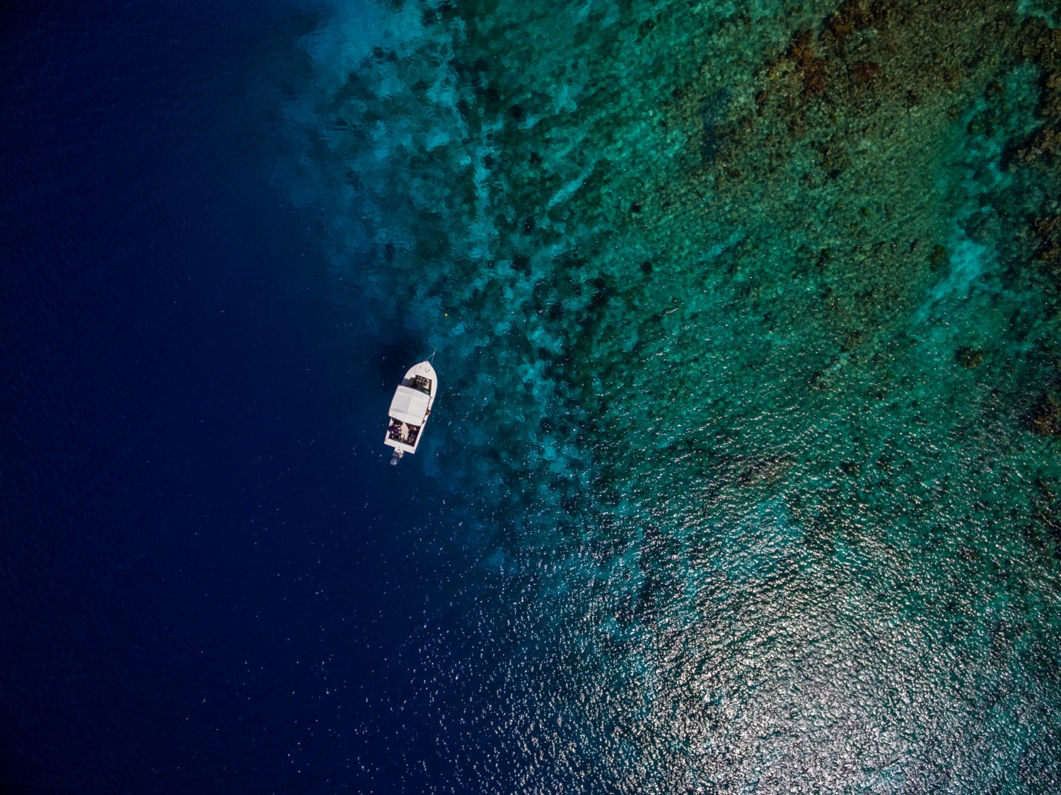 Ocean &#8211; zdjęcie poglądowe /Fot. Freepik
