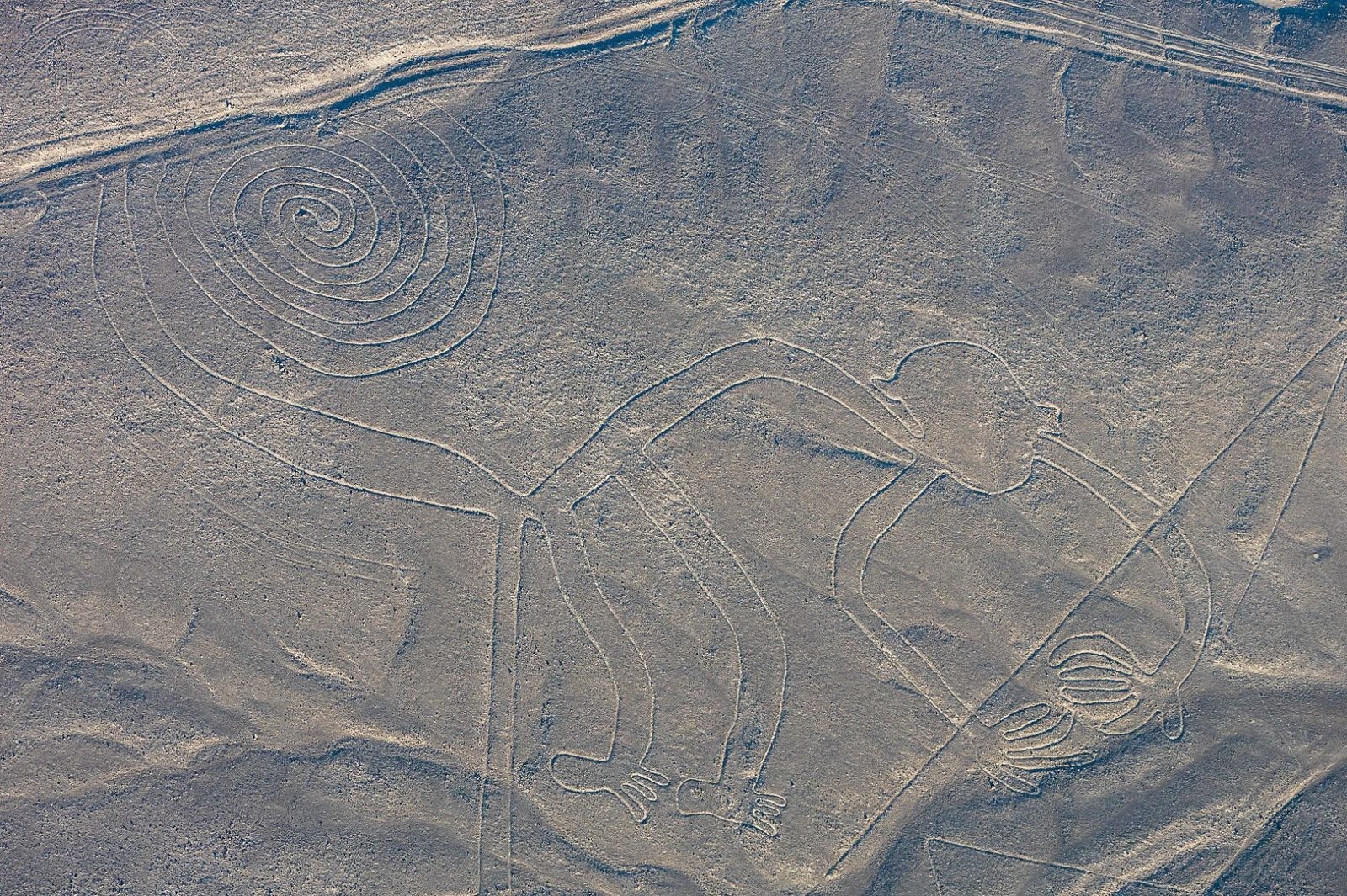 Zidentyfikowano nieznane do tej pory rysunki z Nazca. Ich istnienie wciąż wprawia w osłupienie