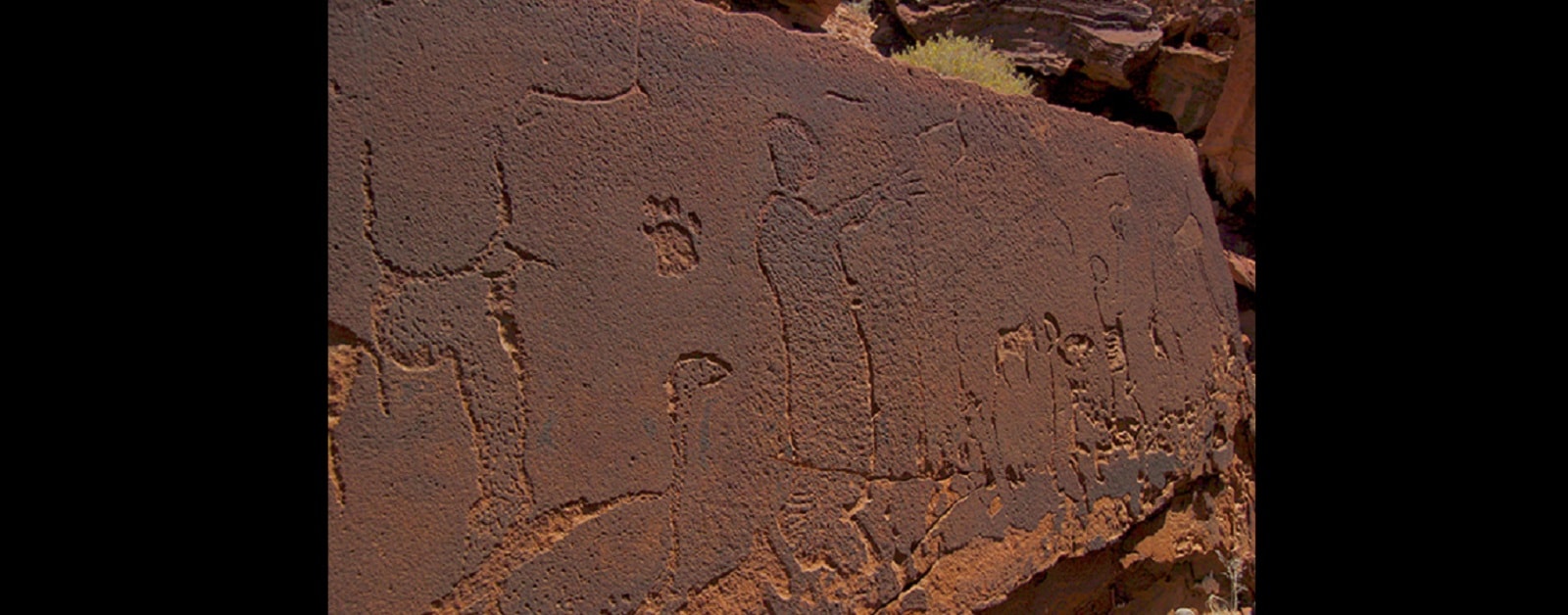 Prehistoryczne rzeźby zachwycają dokładnością wykonania. Można z nich wyczytać naprawdę wiele szczegółów