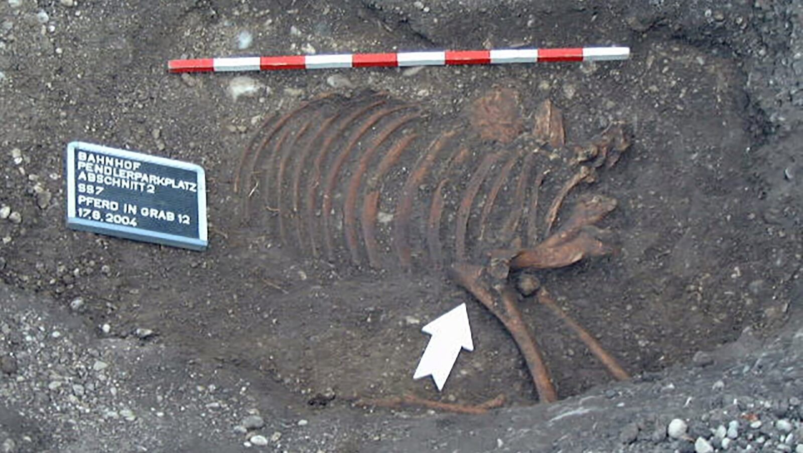 1800 lat temu znaleziono tam szczątki. Nowe ustalenia pokazały, jak bardzo archeolodzy się pomylili