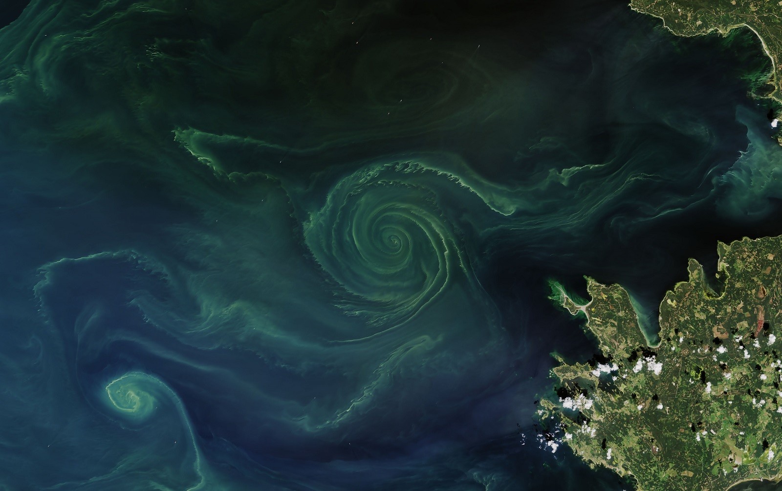 Gigantyczna spirala na Morzu Bałtyckim. Tak naprawdę, to zjawisko znane z polskiego wybrzeża