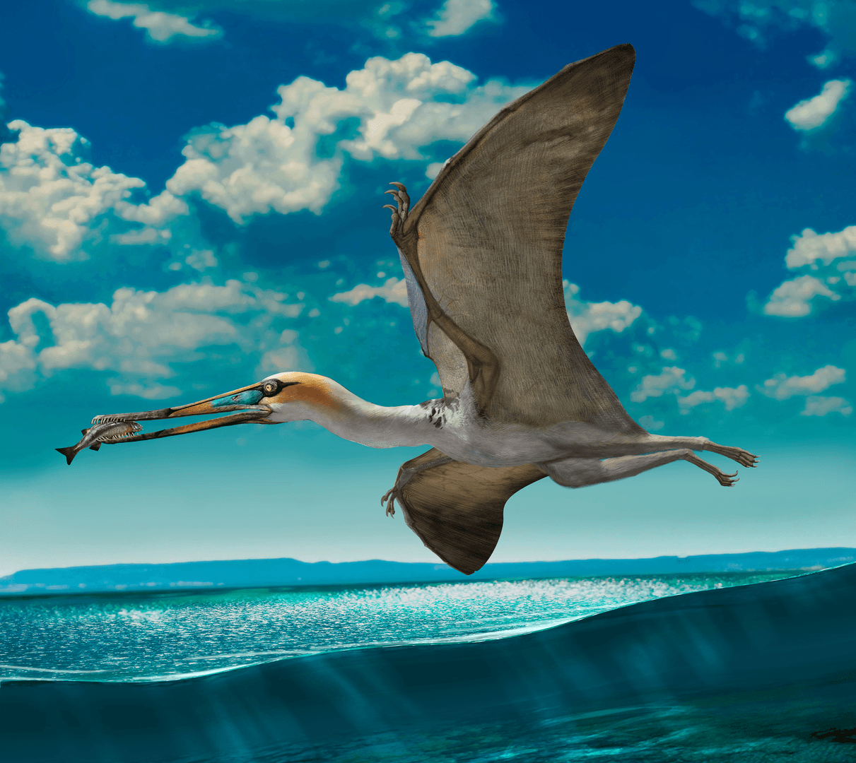 Rekonstrukcja przykładowego pterozaura z grupy Ctenochasmatoidea / źródło: Zhao Chuang, Wikimedia Commons, CC BY 2.5
