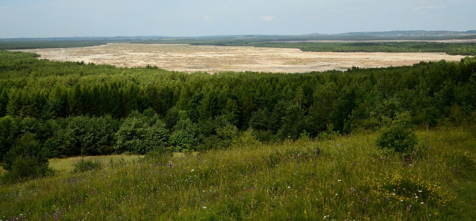 Pustynia Błędowska
