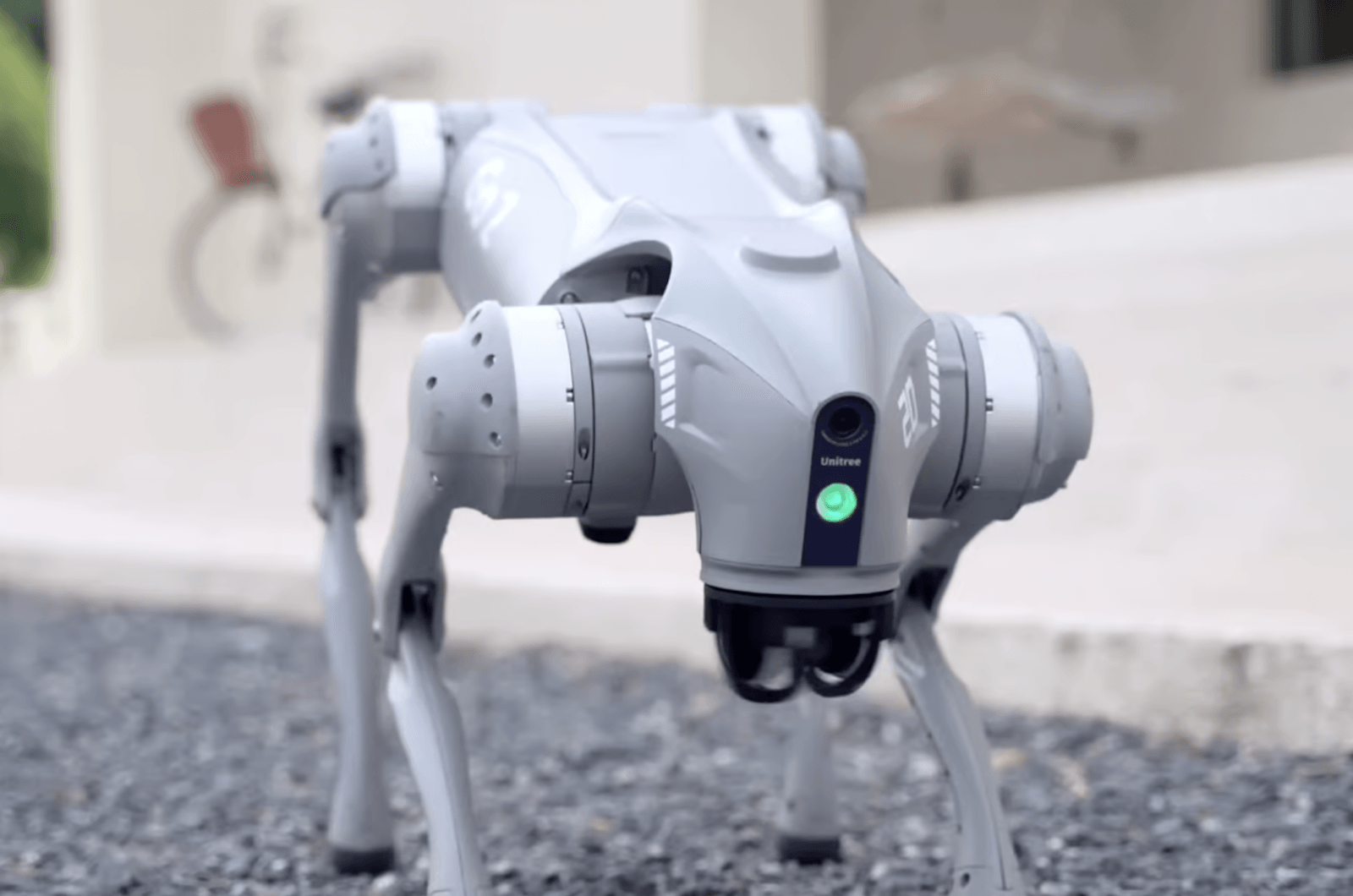 Chińczycy zmodyfikowali robopsy Go2 firmy Unitree Robotics 
