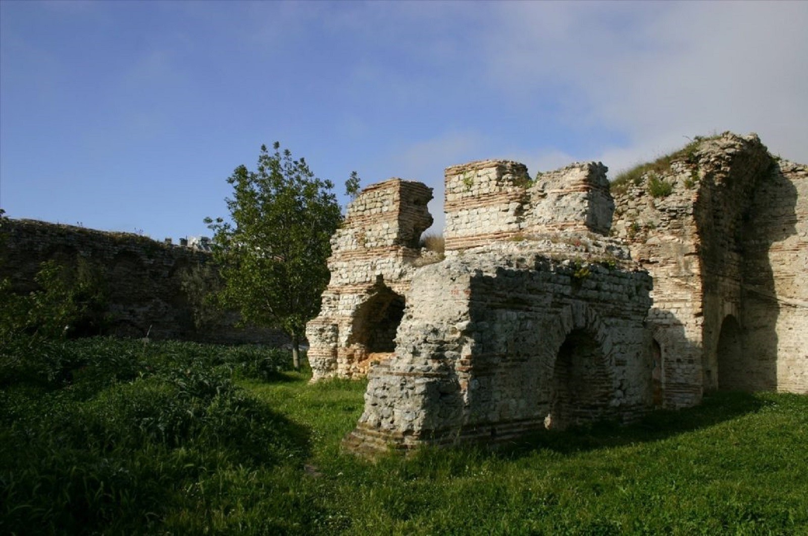 Ukryta czaszka zawierała napis. Zdradził archeologom ważną informację 