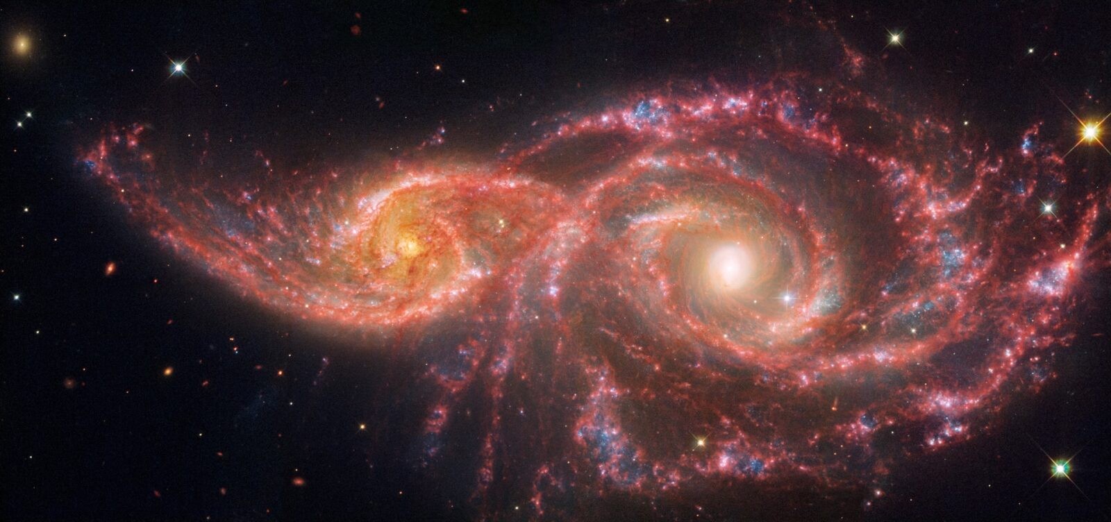 The gruesome palette of these galaxies is owed to a mix of mid-infrared light from the NASA/ESA/CSA James Webb Space Telescope, and visible and ultraviolet light from the NASA/ESA Hubble Space Telescope. The pair grazed one another millions of years ago. The smaller spiral on the left, catalogued as IC 2163, passed behind NGC 2207, the larger spiral galaxy at right. Both have increased star formation rates. Combined, they are estimated to form the equivalent of two dozen new stars that are the size of the Sun annually. Our Milky Way galaxy forms the equivalent of two or three new Sun-like stars per year. Both galaxies have hosted seven known supernovae, each of which may have cleared space in their arms, rearranging gas and dust that later cooled, and allowed many new stars to form. (Find these areas by looking for the bluest regions). [Image description: Two spiral galaxies take up almost the entire view and appear to be overlapping. The galaxy at left, IC 2163, is smaller and more compact than the galaxy at right, NGC 2207. The black background of space is dotted with foreground stars and extremely distant galaxies.]
