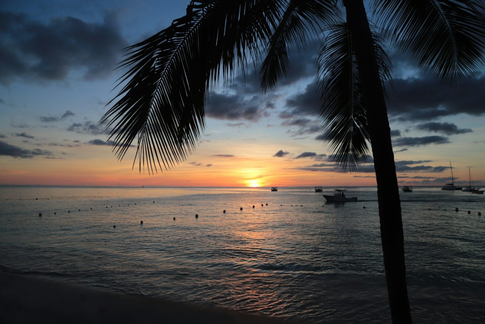 Barbados &#8211; zdjęcie poglądowe /Fot. Unsplash
