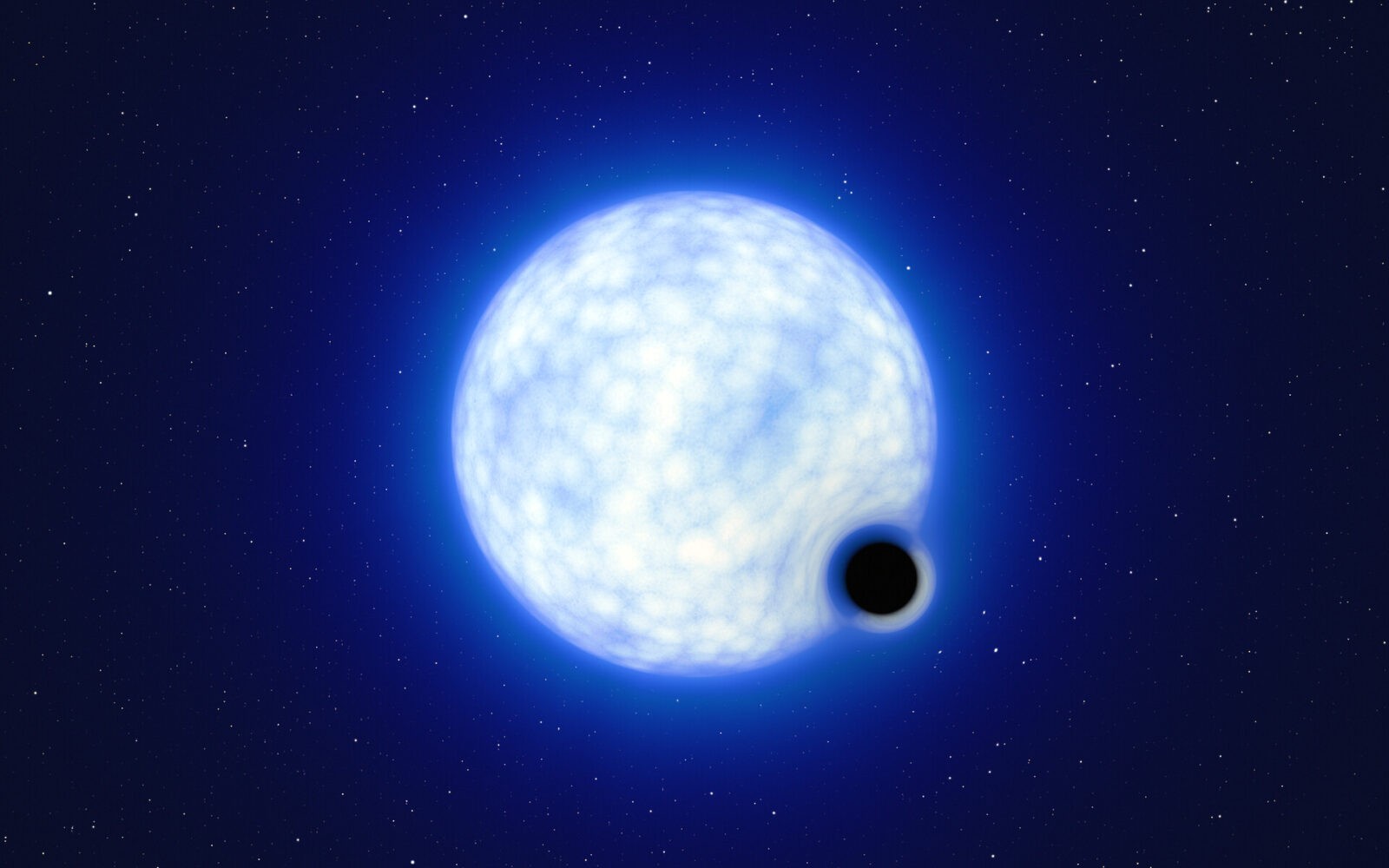 This artist’s impression shows what the binary system VFTS 243 might look like if we were observing it up close. The system, which is located in the Tarantula Nebula in the Large Magellanic Cloud, is composed of a hot, blue star with 25 times the Sun’s mass and a black hole, which is at least nine times the mass of the Sun. The sizes of the two binary components are not to scale: in reality, the blue star is about 200 000 times larger than the black hole.  Note that the &#8216;lensing&#8217; effect around the black hole is shown for illustration purposes only, to make this dark object more noticeable in the image. The inclination of the system means that, when looking at it from Earth, we cannot observe the black hole eclipsing the star.
