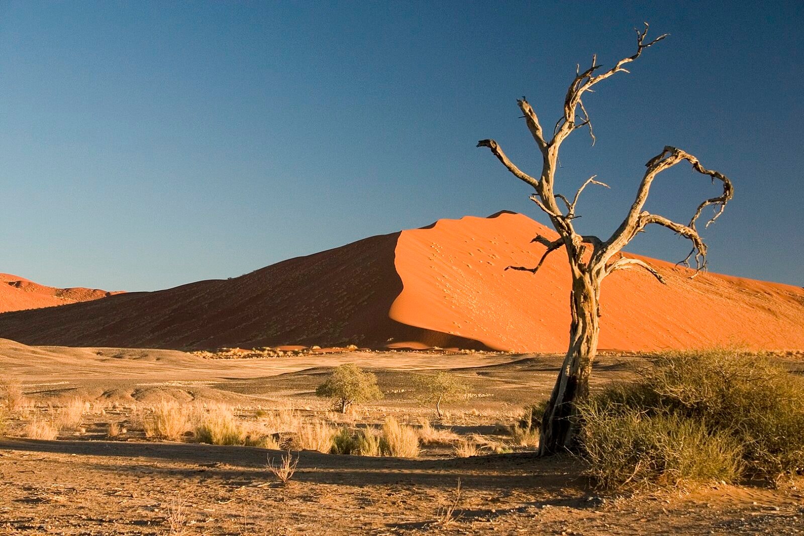 500 lat temu zaginął statek. Znaleziono go na środku namibijskiej pustyni