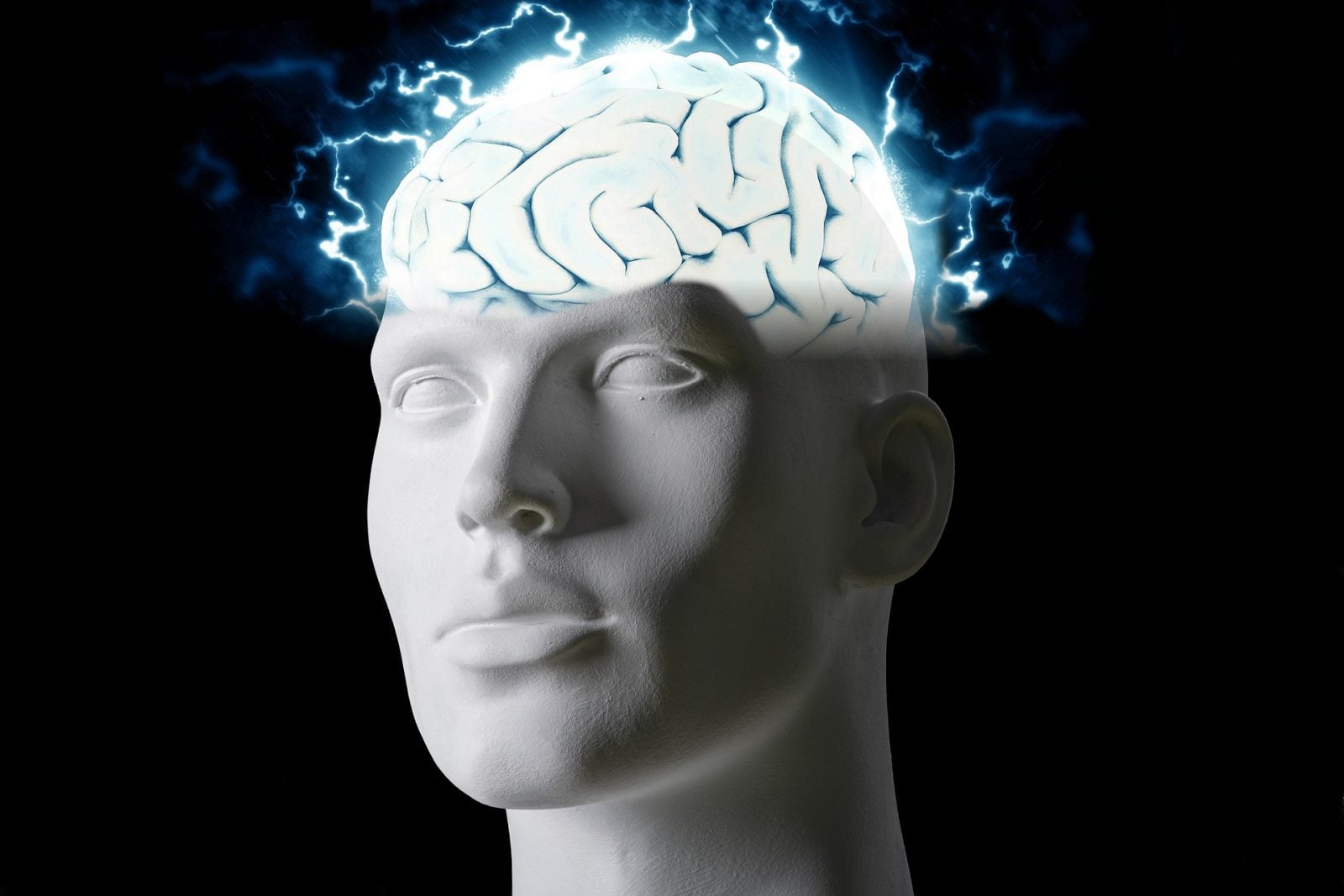 Neurony nie są rozmieszczone w mózgu w przypadkowy sposób. Odkryto matematyczny wzór, który za tym stoi
