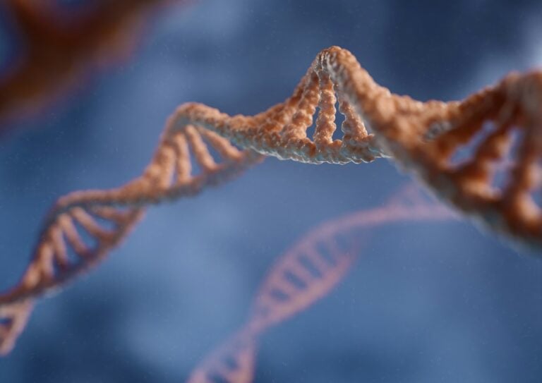 W ludzkim genomie znajdują się zaskakujące struktury DNA. To coś więcej niż tylko podwójna helisa