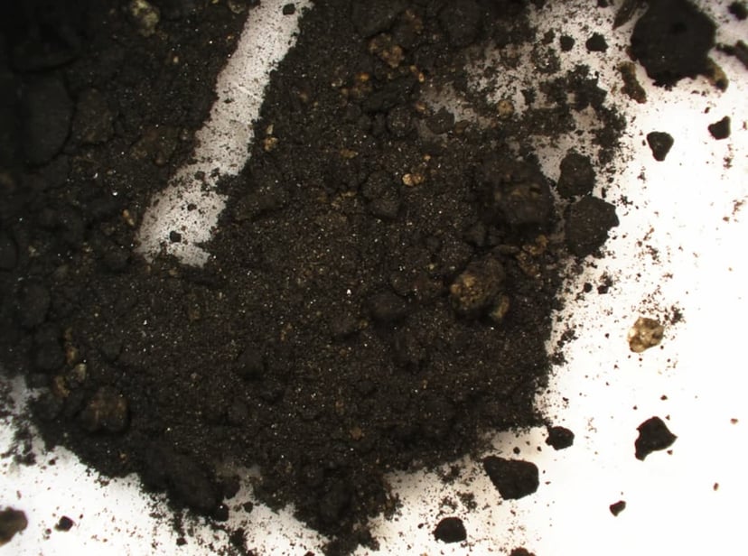 Rzymska technologia, która nie powinna wtedy istnieć. Metalowy przedmiot z Portugalii jest zaskakująco zaawansowany