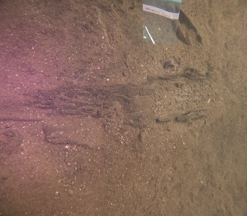 Pojazd sprzed 5200 lat wydobyty z jeziora. Jest starszy niż egipskie piramidy