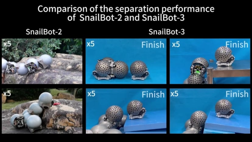 Żywe mosty i współpraca. Małe “ślimacze roboty” budują konstrukcje na żądanie