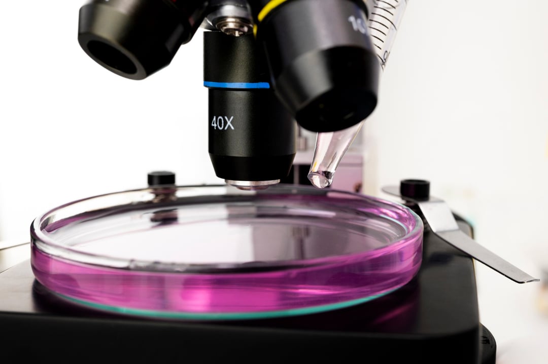 Gdy światło przestało wystarczać. Historia mikroskopu elektronowego