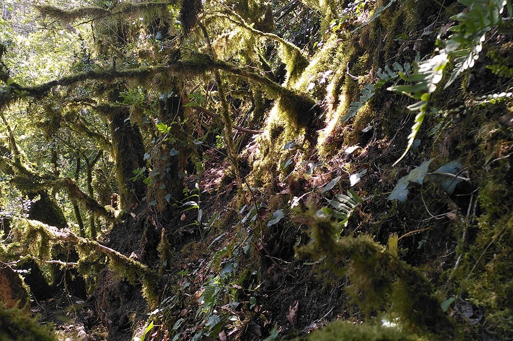 Skały skrywały artefakty z epoki brązu. Archeolodzy sugerują, jak mogły tam trafić