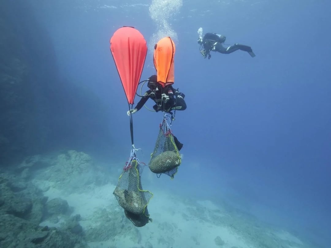 Tysiące lat żeglarskich lat historii w jednym miejscu. Archeolodzy odkryli podwodne cmentarzysko