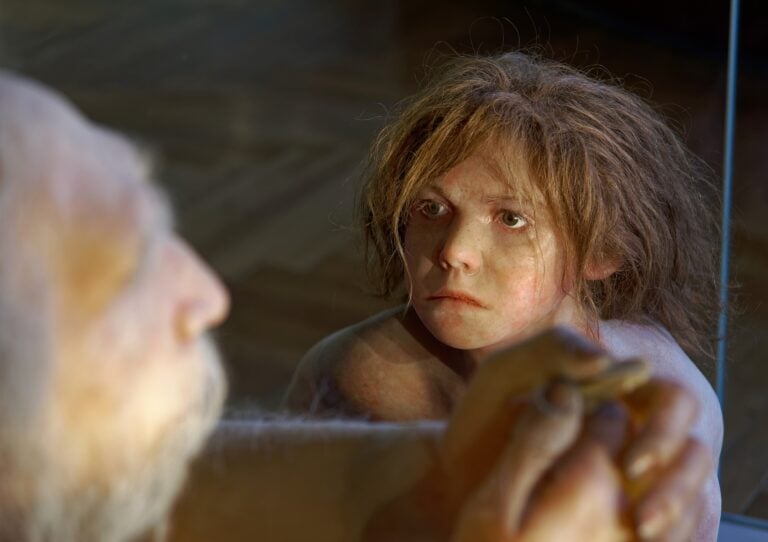 Dzieci neandertalczyków rozwijały się kompletnie inaczej, niż nasze. Naukowcy właśnie to udowodnili