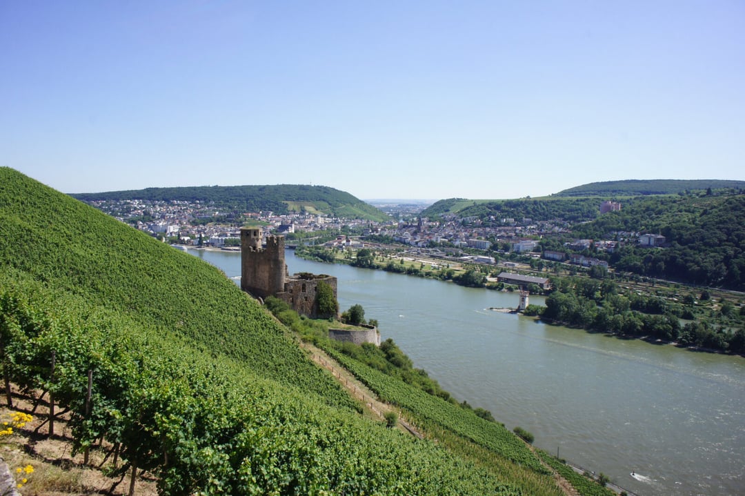 Autostrada, jakiej możemy pozazdrościć nawet 2000 lat później. Archeolodzy odkryli w Niemczech niezwykły szlak
