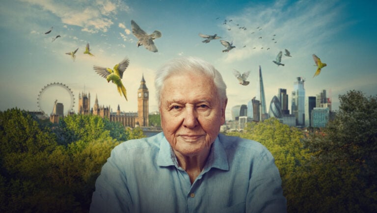 BBC Earth świętuje 100. urodziny sir Davida Attenborough. Głos, który przez dekady otwierał widzom okno na świat