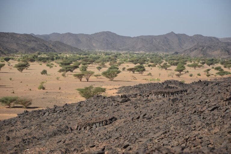 Archeolodzy wybrali się do Sudanu. Odnaleźli setki budowli, o istnieniu których nauka nie miała pojęcia