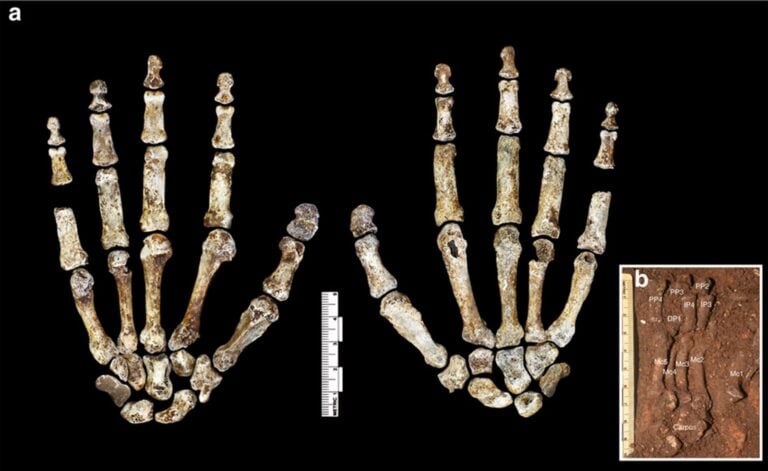Wydobyli materiał genetyczny sprzed 300 tysięcy lat. Ujawnił mroczny sekret gatunku Homo naledi
