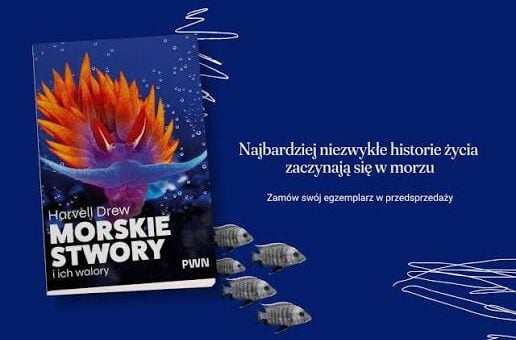 Gąbki, meduzy i ośmiornice wiedzą o życiu więcej, niż nam się wydaje – Fragment książki „Morskie stwory i ich walory”