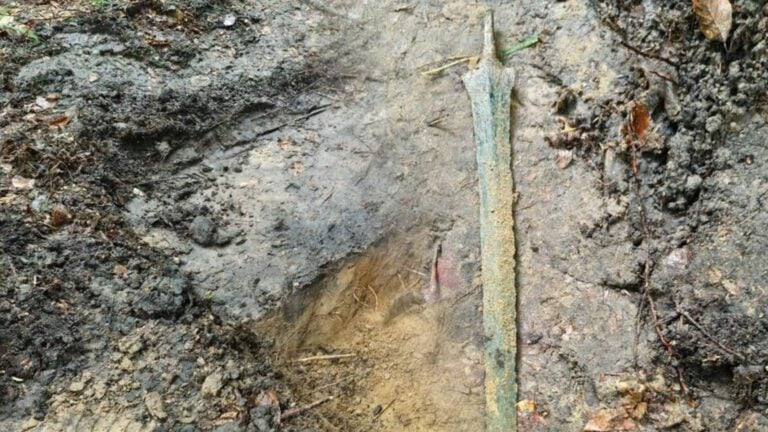 Miecz sprzed 2700 lat leżał w gdańskim lesie. To jedno z największych odkryć w historii Pomorza