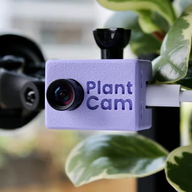 PlantCam pozwoli każdemu stworzyć film dokumentalny z własnego parapetu