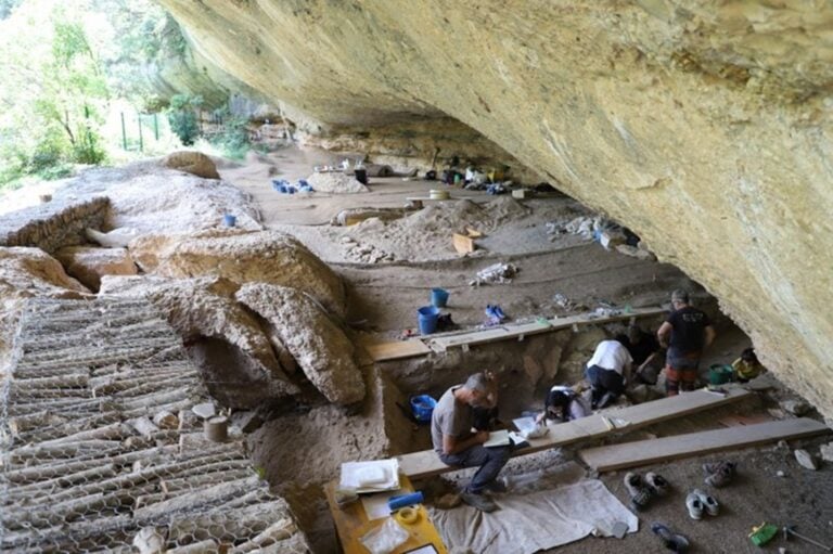 Ukryte stanowisko pokazuje kluczowy moment w dziejach ludzkości. Archeolodzy znaleźli ślady narodzin rolnictwa