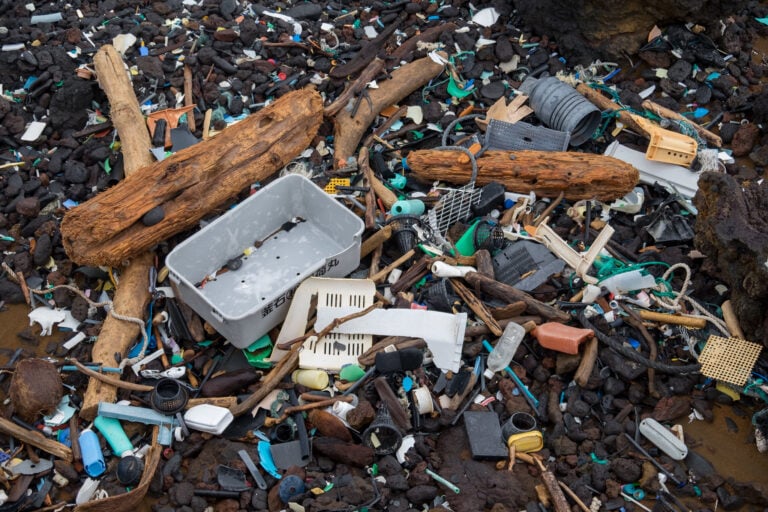 Plastikowe wyspy to nowe oazy życia. Naukowcy ostrzegają przed tym, co się na nich dzieje