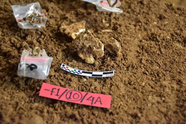 Pradawni ludzie odurzali się z wykorzystaniem tej substancji. Naukowcy odkryli najstarsze dowody