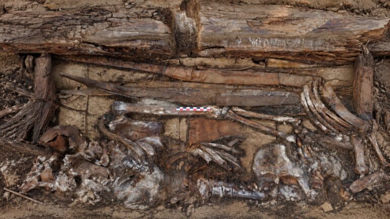 Syberyjski grób wojownika zawierał nieznany typ broni. Archeolodzy nie wiedza, czym była