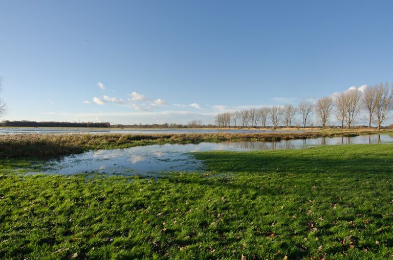 Czaszka nabita na drewniany pal przetrwała tysiące lat. Poruszające odkrycie niemieckich archeologów