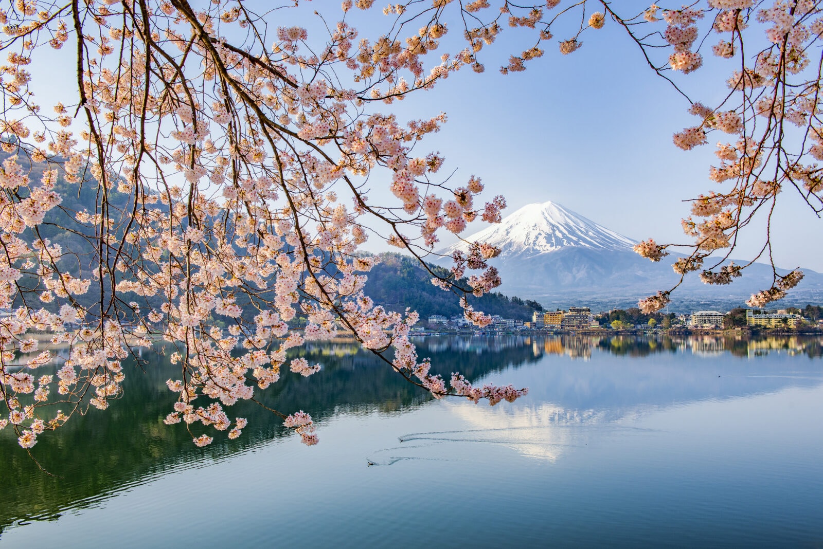 Budząca się potęga pod dnem oceanu. Gigantyczna kaldera Kikai znów wypełnia się magmą