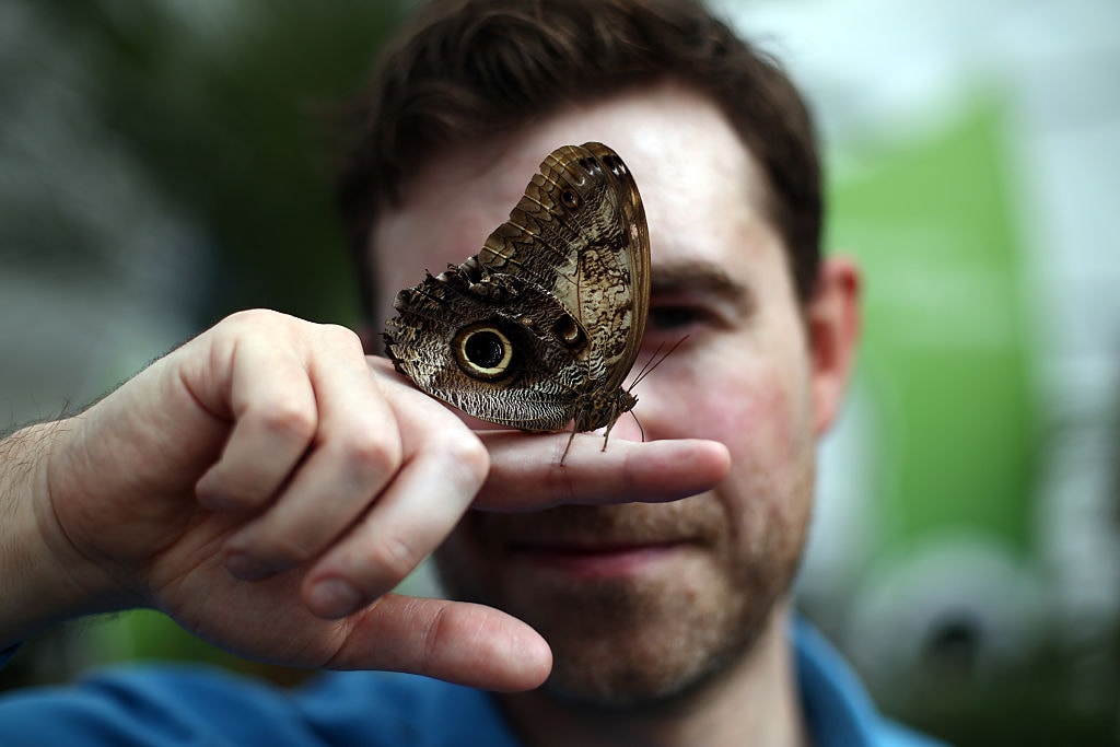 Efekt motyla nie istnieje. Przynajmniej na poziomie kwantowym