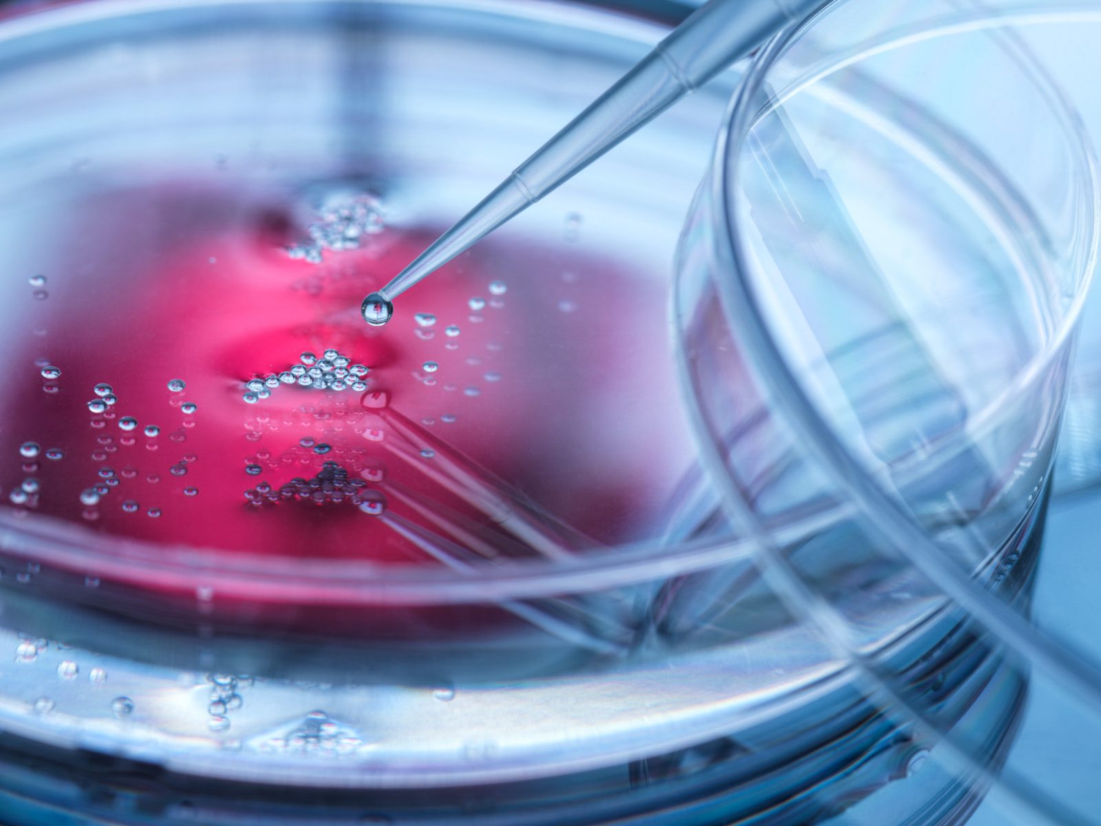 To matematyka steruje biologią! Coraz bliżej odkrycia największej tajemnicy życia